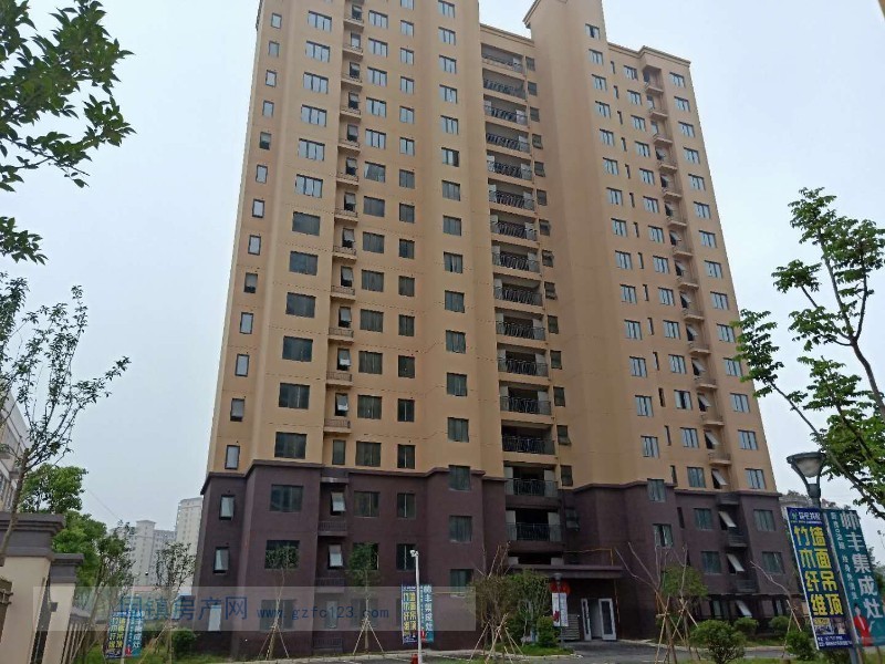 实景图