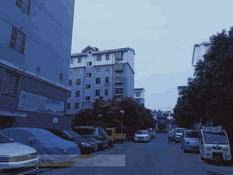 实景图