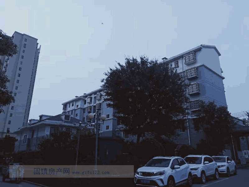 实景图