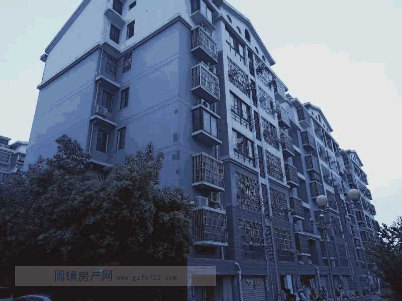 实景图