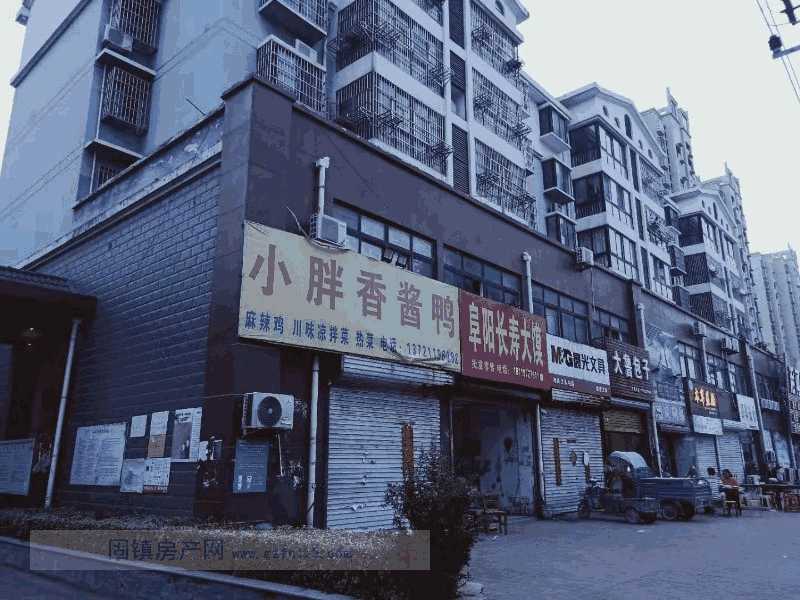 实景图