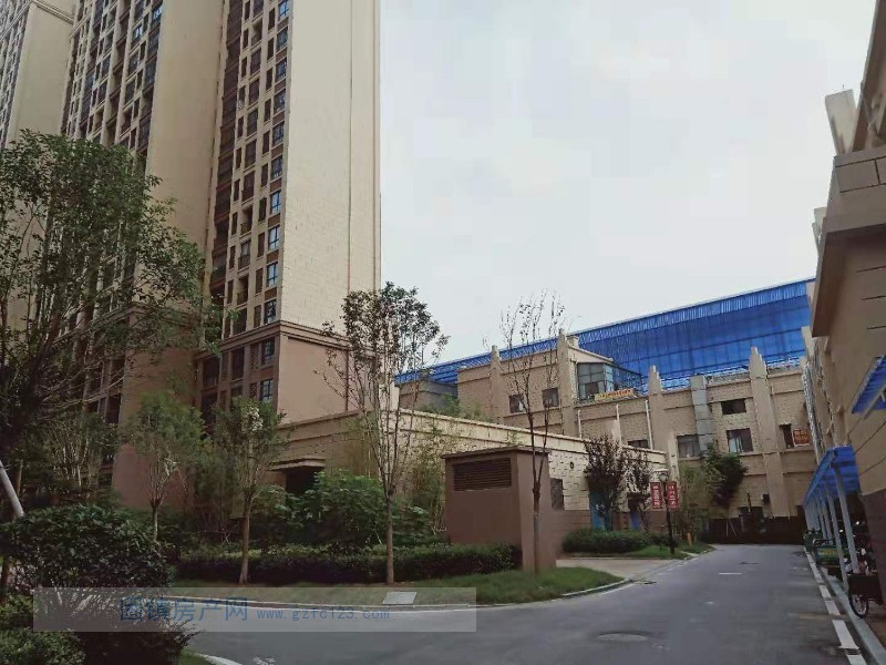 实景图