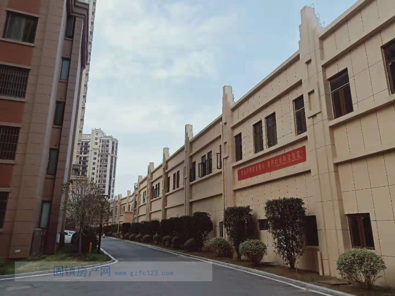 实景图