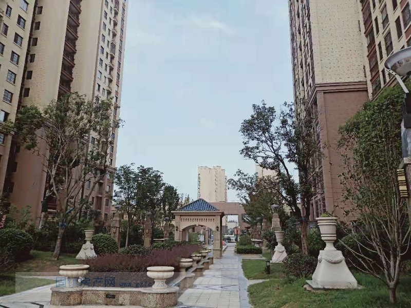 实景图