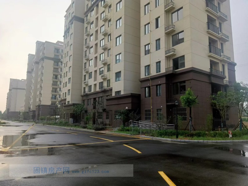 实景图