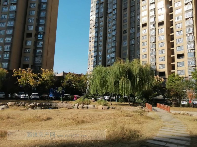 实景图